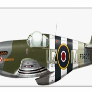 1943 North American P-51C