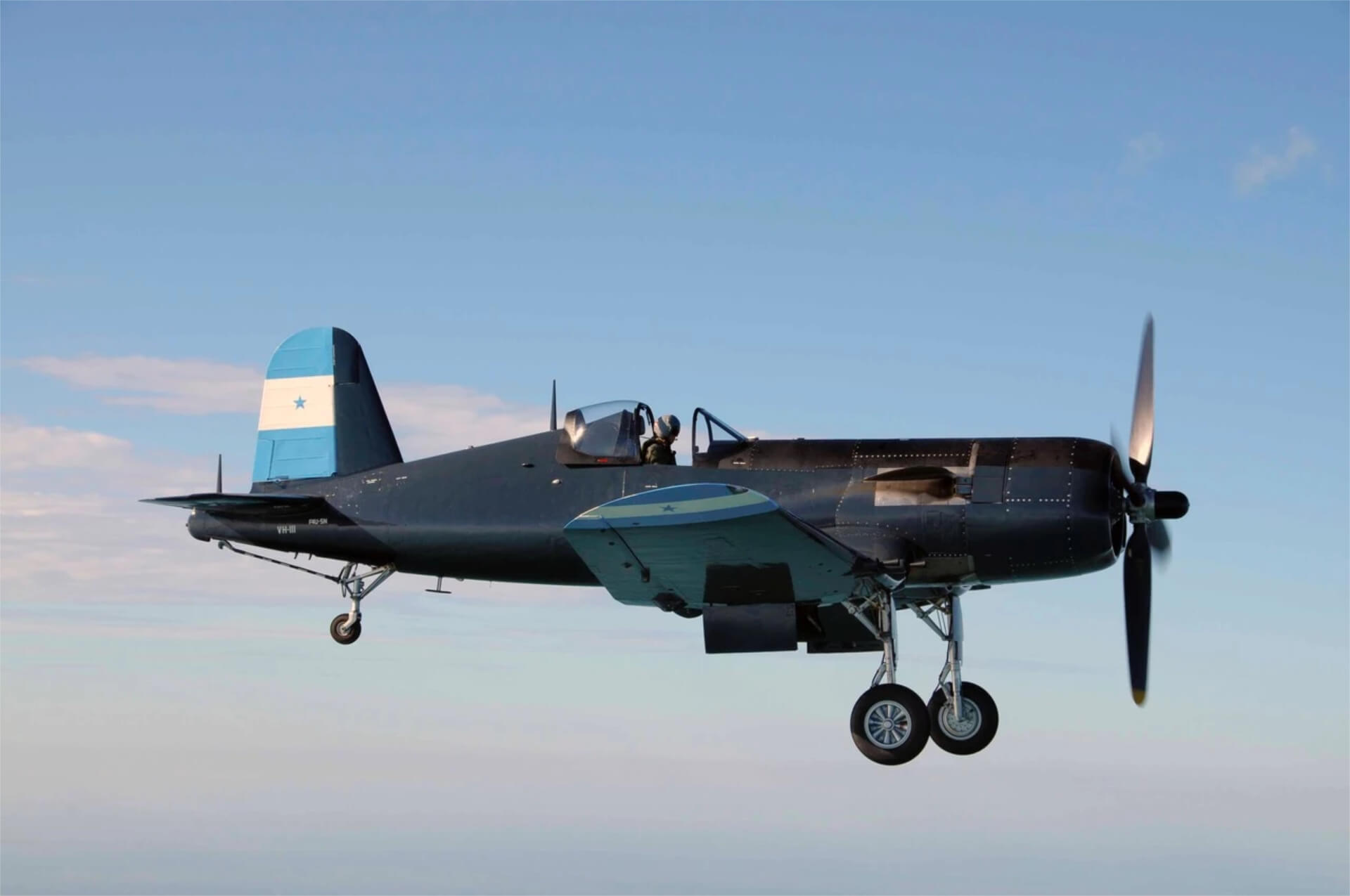 Platinum Fighter Sales And The World Of Warbirds